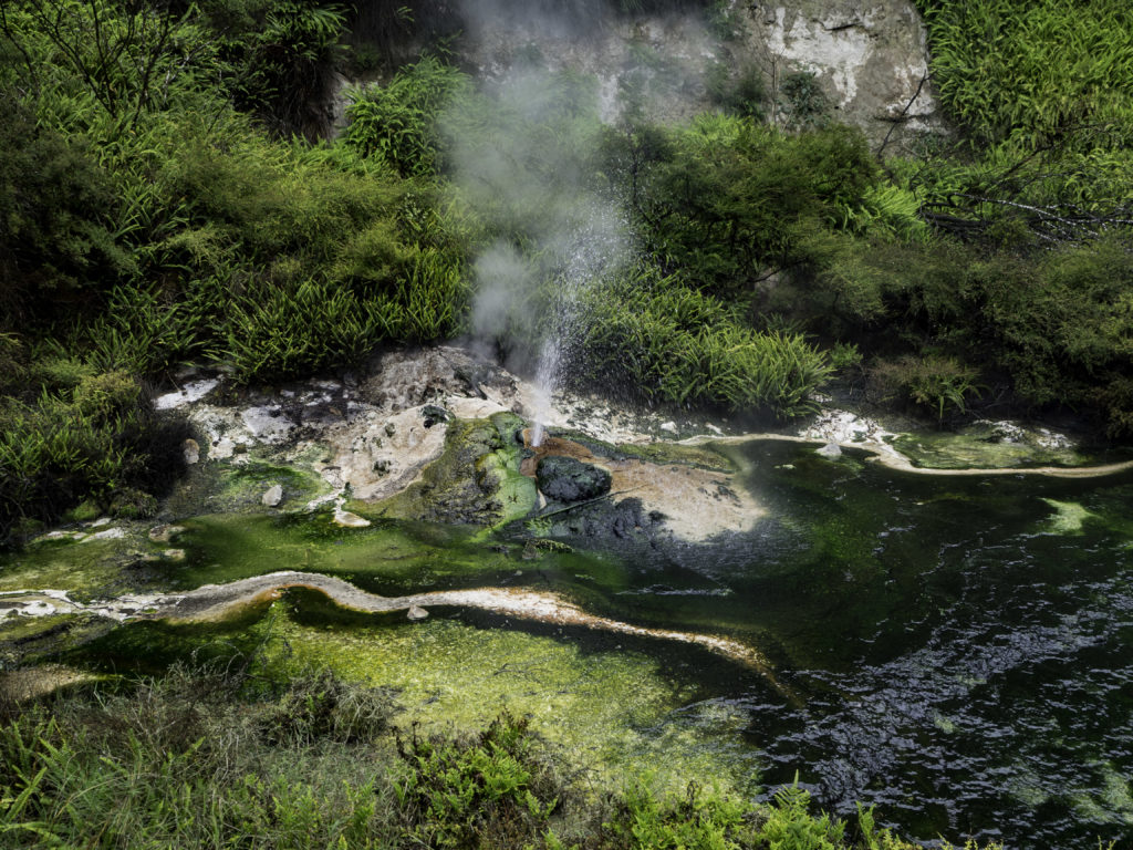 Wai-O-Tapu Thermal zone, NZOLYMPUS DIGITAL CAMERA